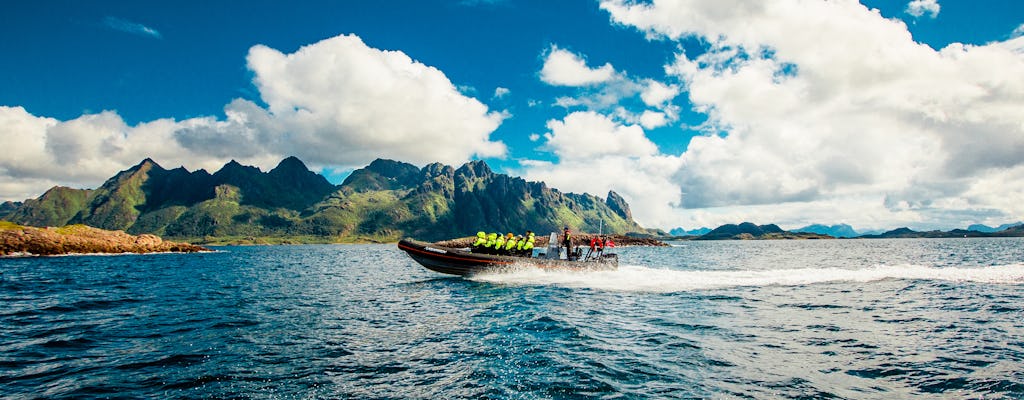 Safari dell'aquila di mare a Trollfjorden