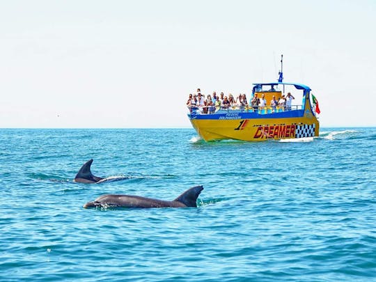 Jaskinie i delfiny w pobliżu miasta Albufeira – bilet na rejs łodzią Dreamer