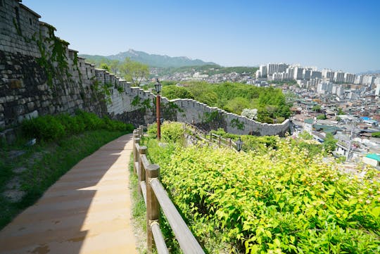 Tour a piedi di Seul