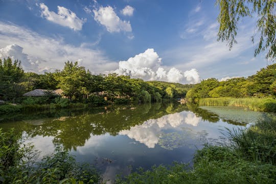 Tour mattutino della città e del villaggio popolare coreano
