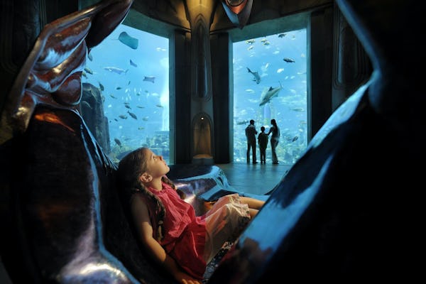 Eintrittskarten für das Atlantis Aquarium „The Lost Chambers“.