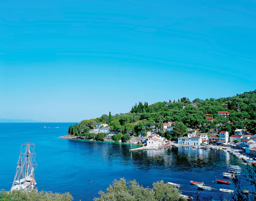 Paxos and Antipaxos