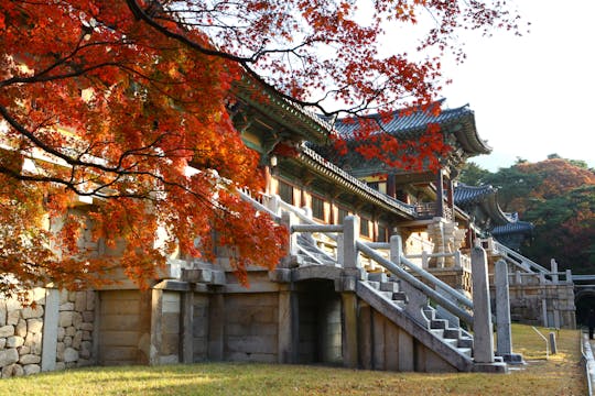 Faits saillants de la visite privée de Gyeongju