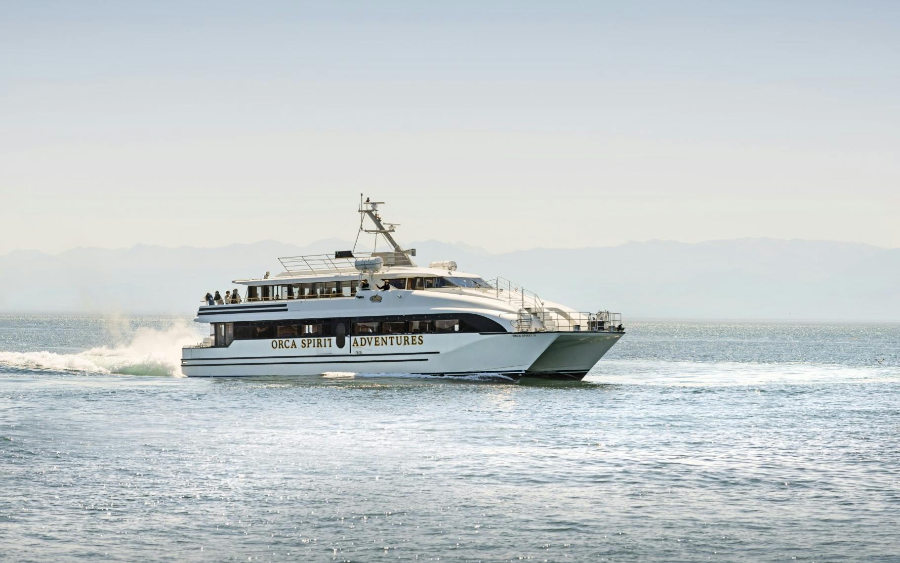 Victoria whale watching and wildlife tour on covered vessel