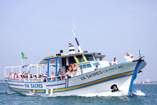 Ponta da Piedade Grottoes Ticket