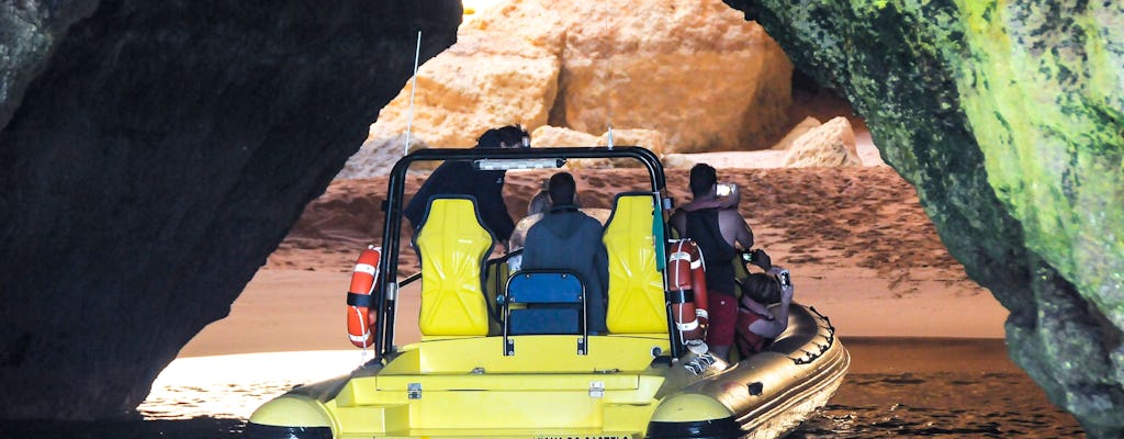 Insonia Cave & Dolphins Speedboat Ticket from Albufeira