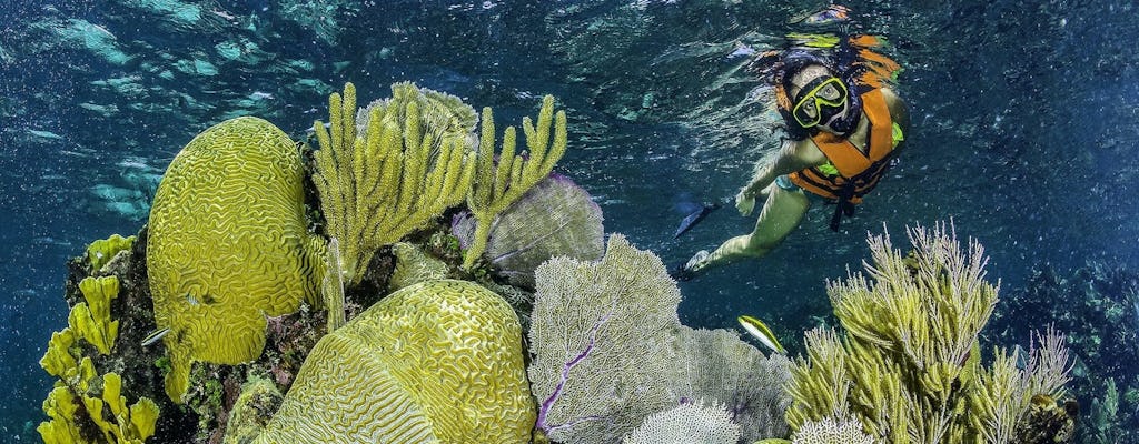 Snorkel Native Park Puerto Morelos skip-the-line tickets and optional transport