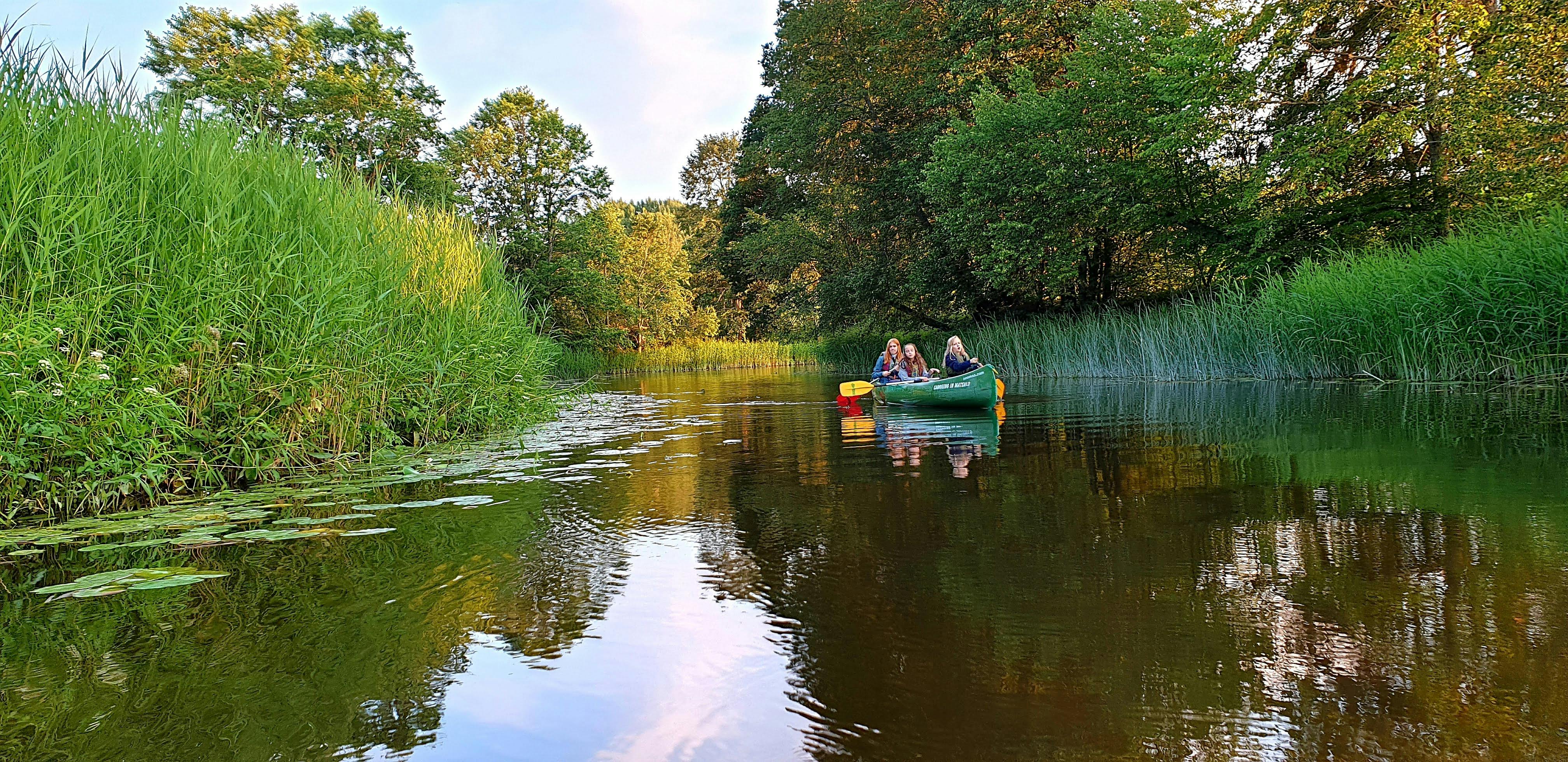 Begeleide dagtocht in de wildernis, inclusief moerasschoenwandelen en kanoën