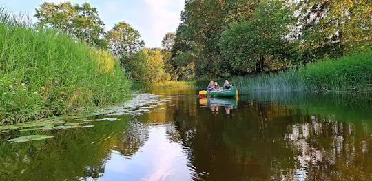 Guided day-trip in the wilderness including bog shoeing and canoeing