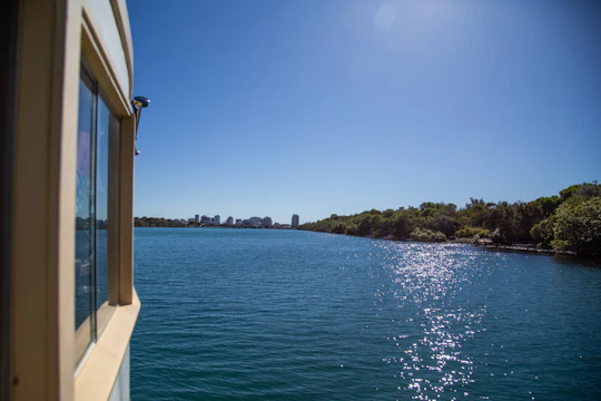 Tweed River and rainforest lunch cruise
