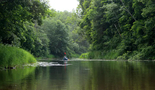 Self-guided canoe day-trip from Pärnu