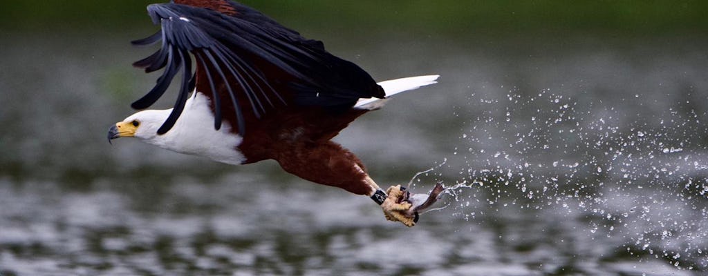 Lake Naivasha, Hell's Gate, and Crescent Island boat ride full-day tour