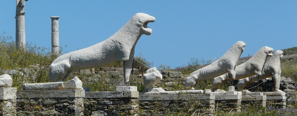 Prywatna wycieczka Delos z Mykonos