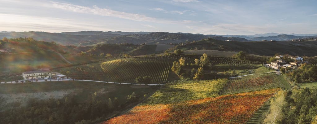 Balsamic vinegar tasting tour at Acetaia Sereni