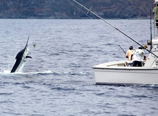 Big Game Fishing Tour
