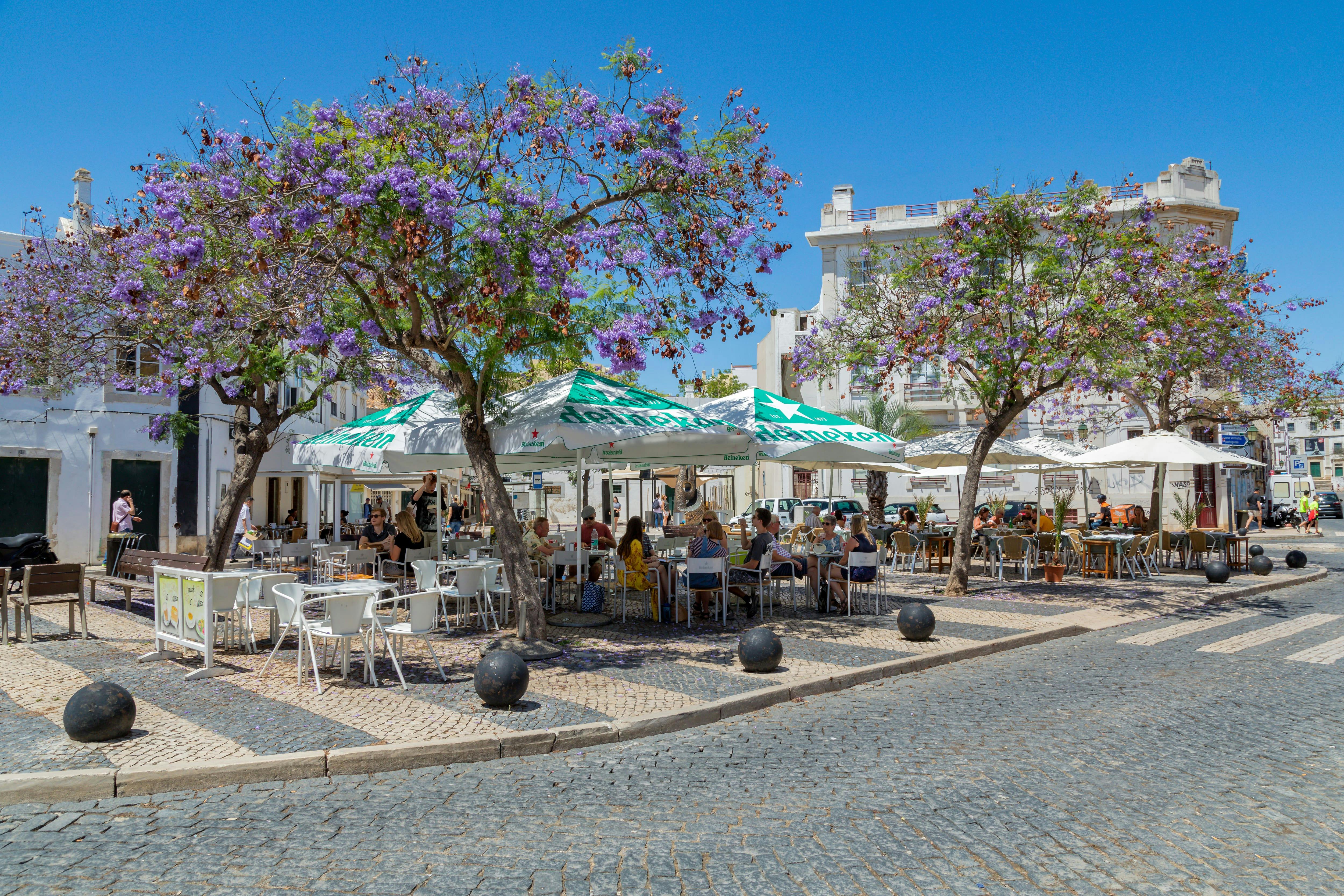 Faro, Olhão & Tavira Tour