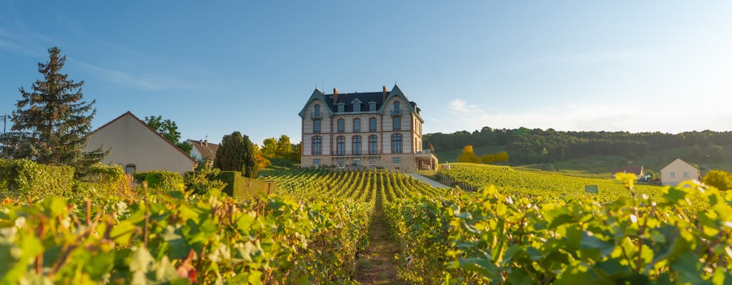 Excursion d'une journée en Champagne au départ de Paris avec visite de vignobles et de la cathédrale de Reims