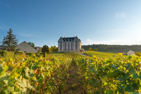 Champagne dagtrip vanuit Parijs met bezoek aan een familiewijnmakerij, Nicolas Feuillatte en de kathedraal van Reims