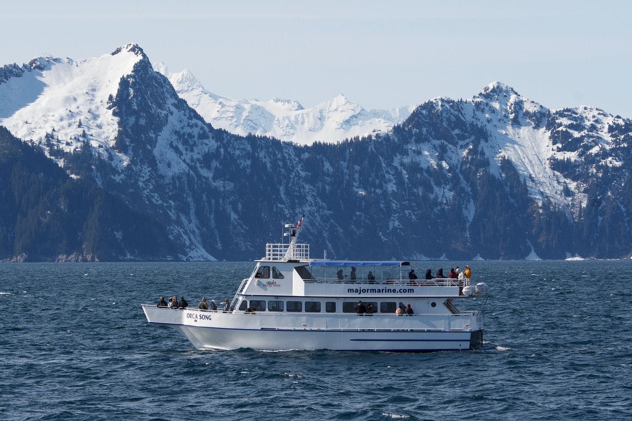 kenai fjords national park wildlife cruise