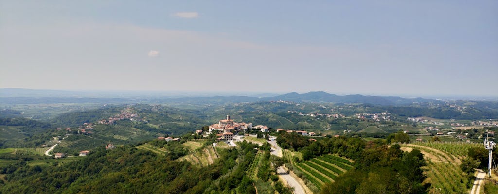 Tour del vino a Goriska Brda y el valle de Vipava desde Ljubjana