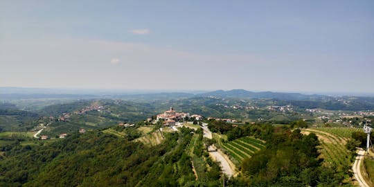 Wijntour naar Goriska Brda en Vipava-vallei vanuit Ljubjana