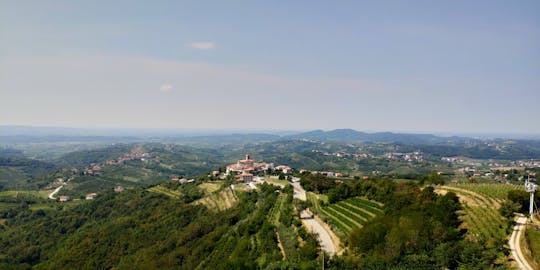 Visite œnologique de Goriska Brda et de la vallée de Vipava au départ de Ljubjana