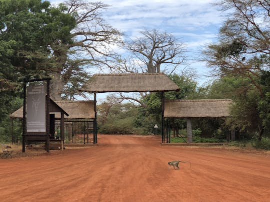 Safári de meio dia na Floresta Nacional de Bandia saindo de Saly ou Somone