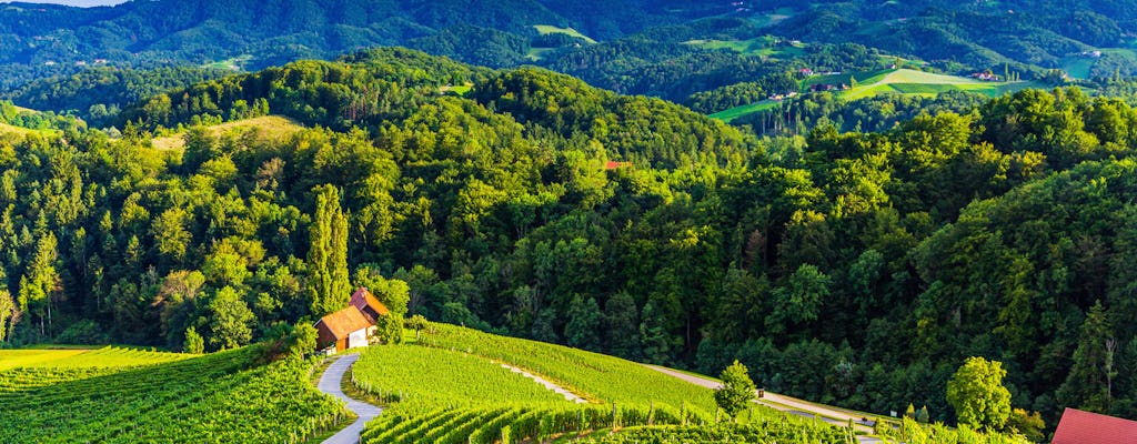 Ronde van Maribor, Ptuj en het hart van de wijngaarden