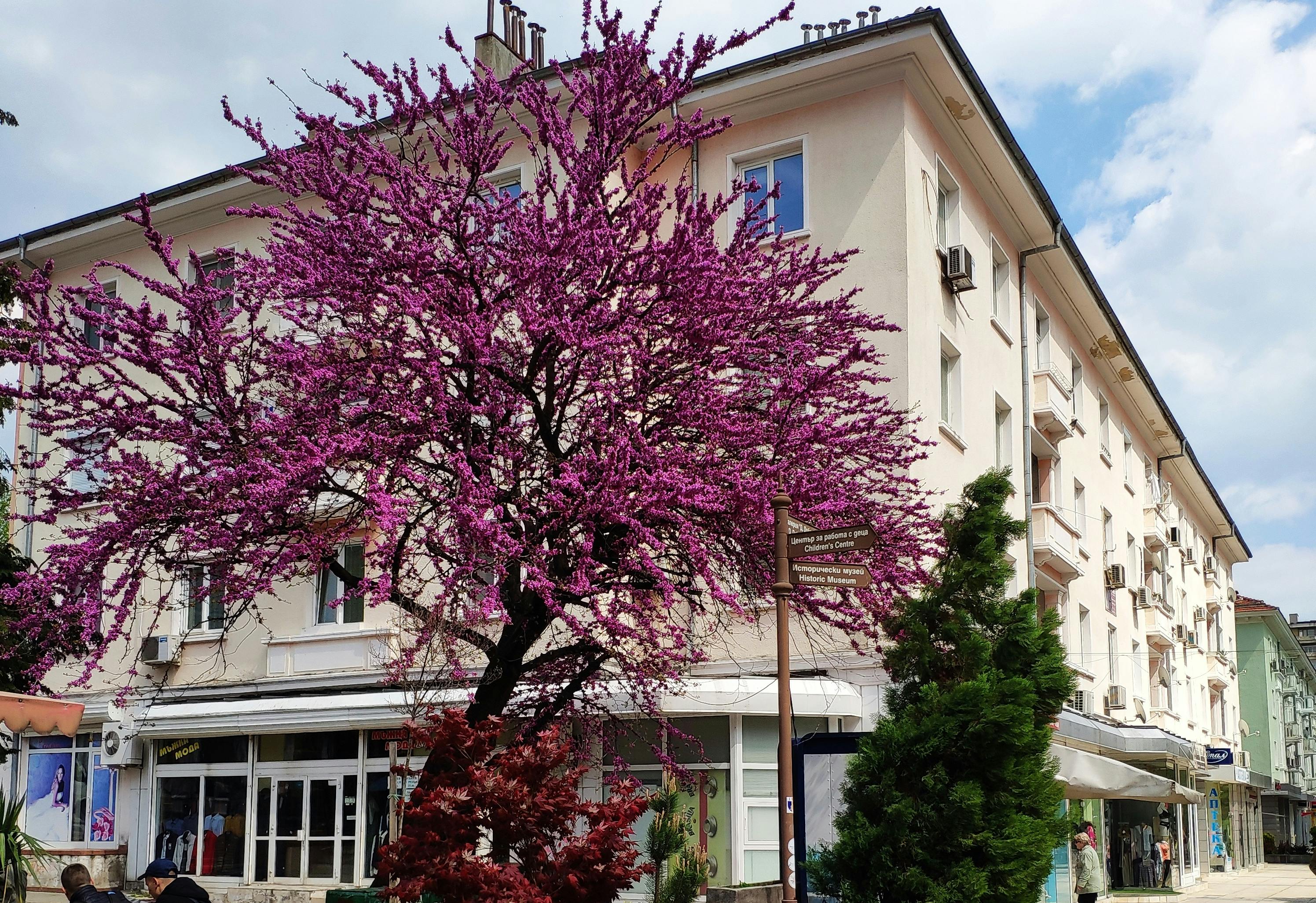 Selbstgeführte Halbtagestour zu Geschichte und Wein in Sliven