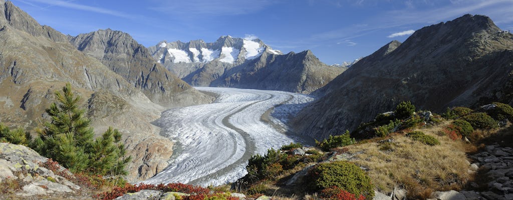 Boleto de ida y vuelta en teleférico de Aletsch Arena a View Point Moosfluh