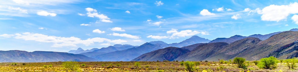 Que faire à Oudtshoorn