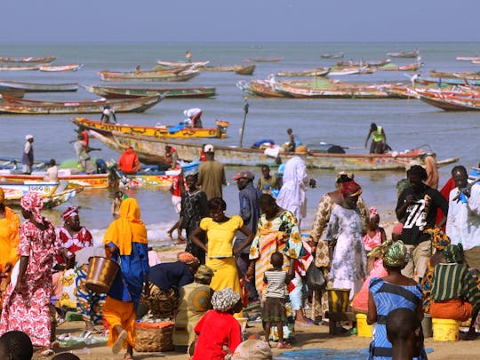 Fishermen arrival in Mbour half-day tour from Saly or Somone
