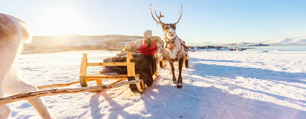Snowmobile safari to reindeer farm