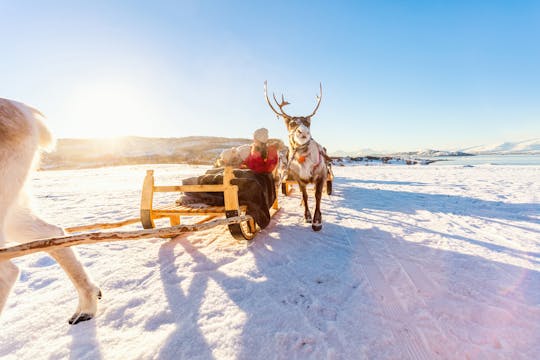 Snowmobile safari to reindeer farm