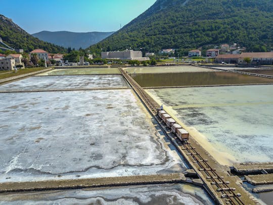Tour privado a Ston com degustações de vinho na Península de Pelješac saindo de Dubrovnik