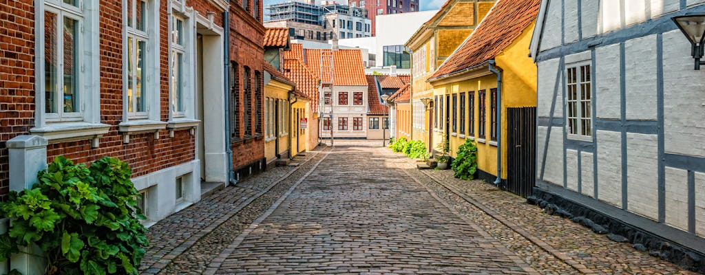 Andersen's private walking tour in Copenhagen