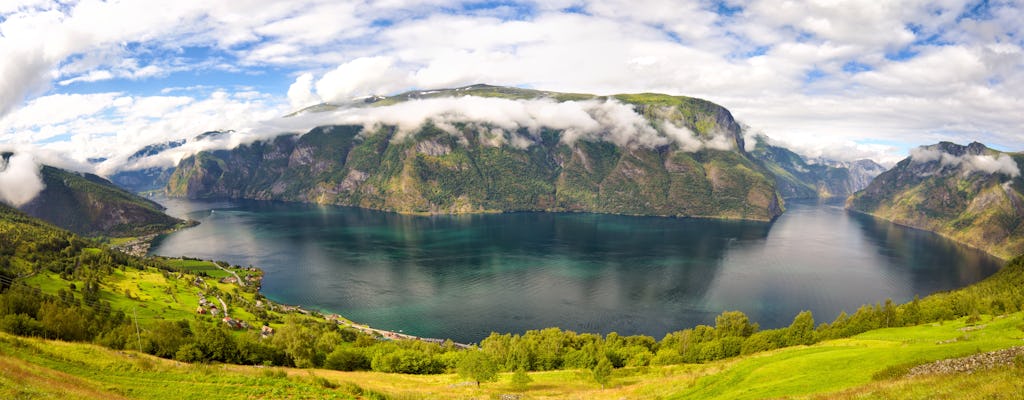 Excursión autoguiada de un día en Noruega Bergen a Oslo