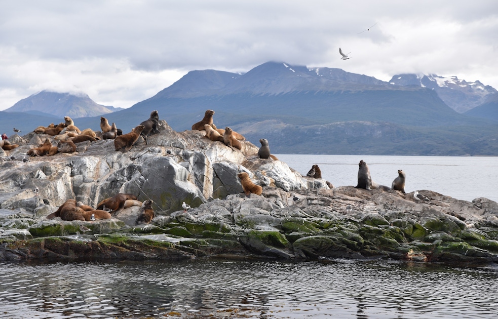 Beagle Channel navigation | musement