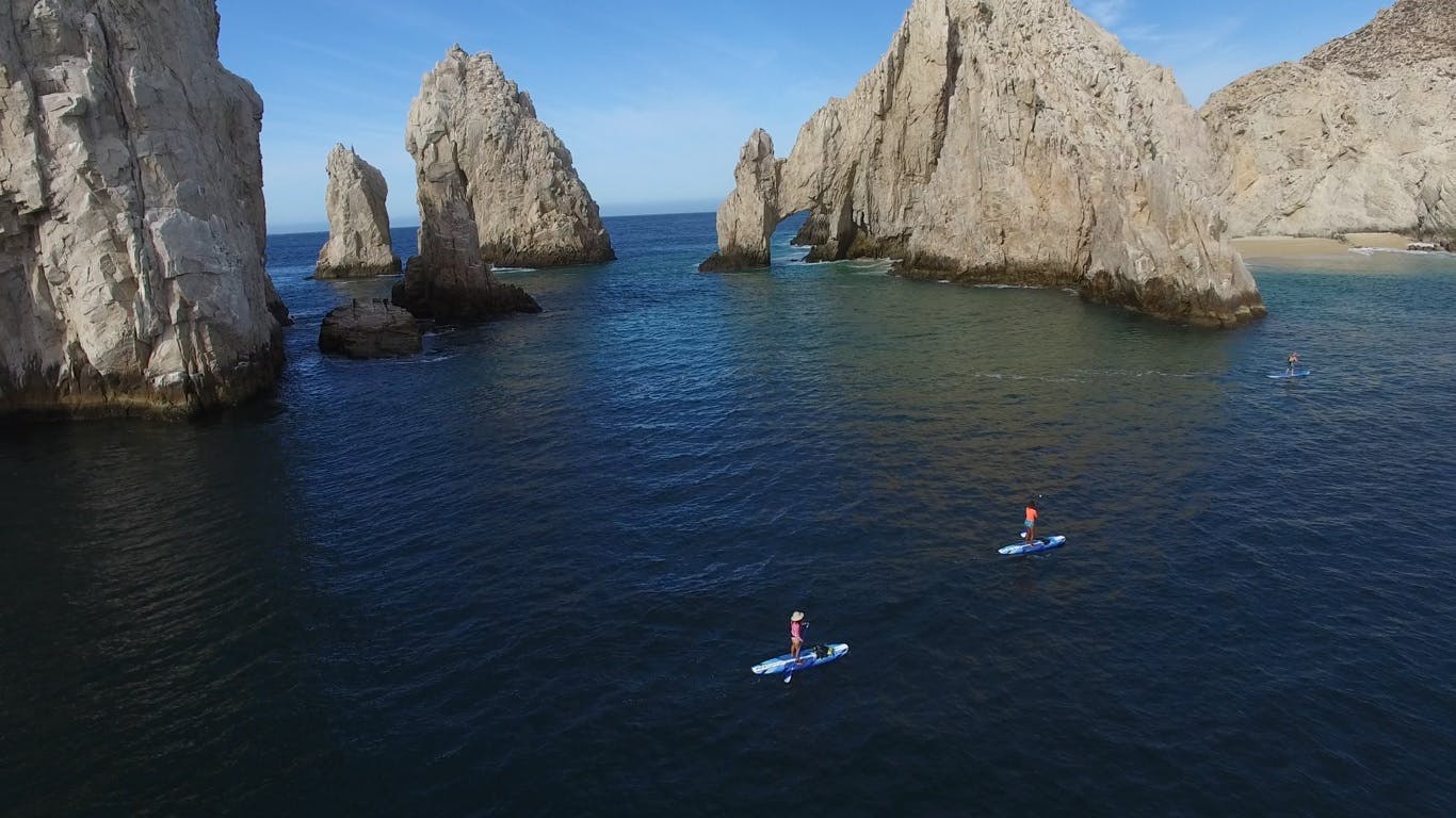 Los Cabos paddleboard and snorkeling experience