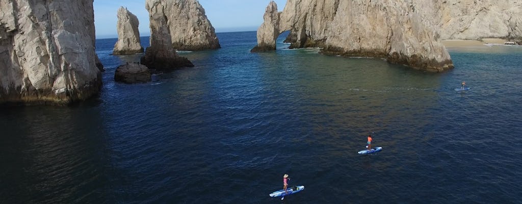 Los Cabos paddleboard and snorkeling experience