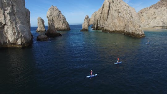 Expérience de paddleboard et de plongée en apnée à Los Cabos