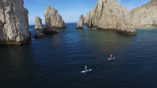 Los Cabos paddleboard and snorkeling experience