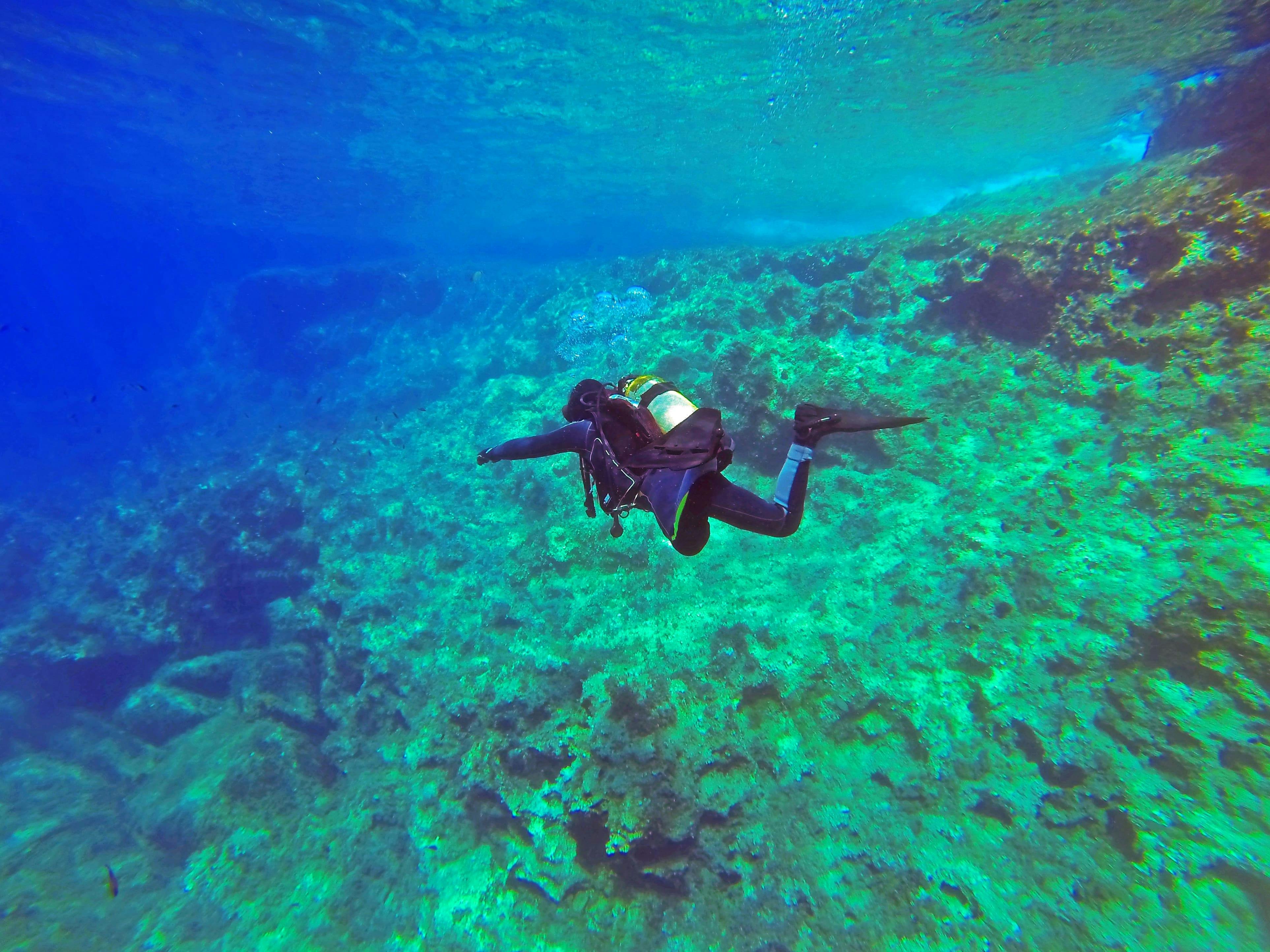 Découverte de la plongée sous-marine