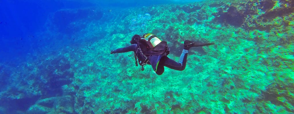 Diving in Malta