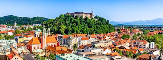 Stadstour door Ljubljana en kasteel vanuit Bled