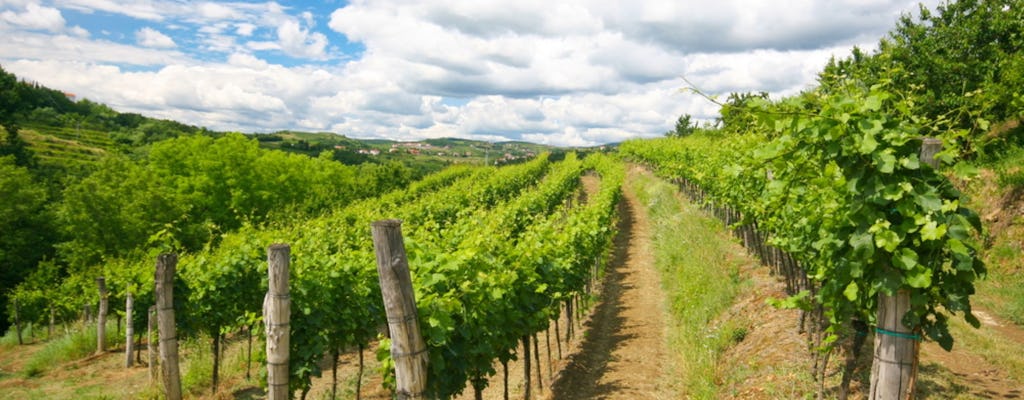 Excursión de un día a las colinas vinícolas de Goriska Brda desde Liubliana