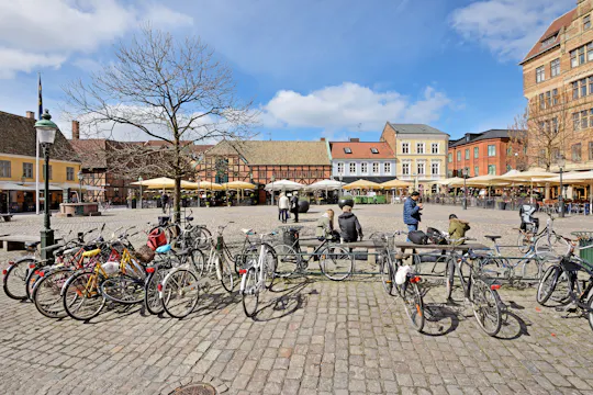 Eendaagse tour van Kopenhagen naar Malmö