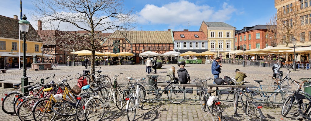 Excursion d'une journée de Copenhague à Malmö