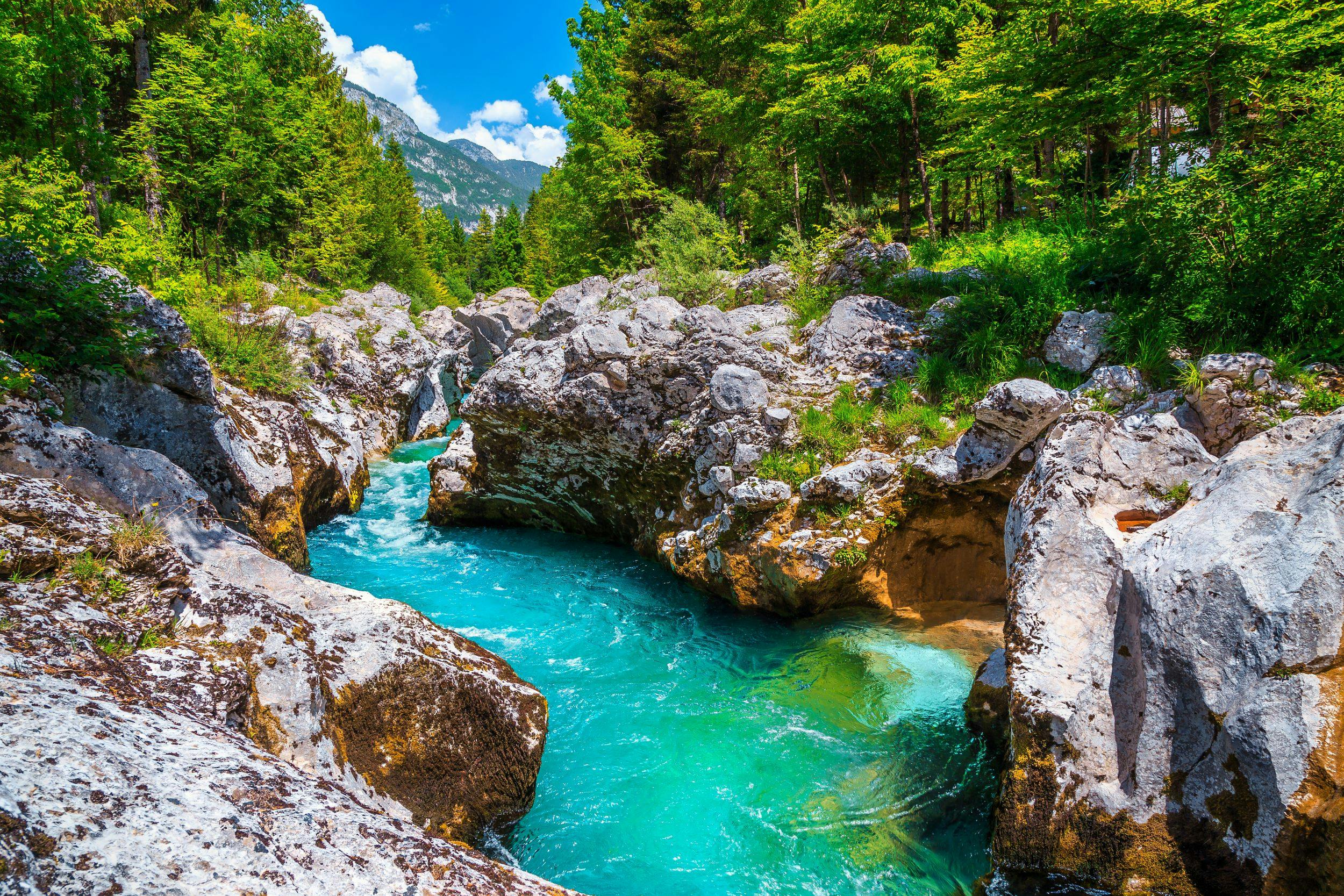Excursion d'une journée sur la rivière Emerald Soča au départ de Bled