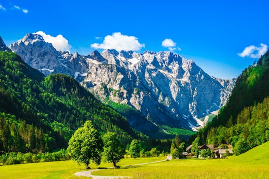 Excursión privada de un día a Logar Valley y Alpine fairytale desde Bled